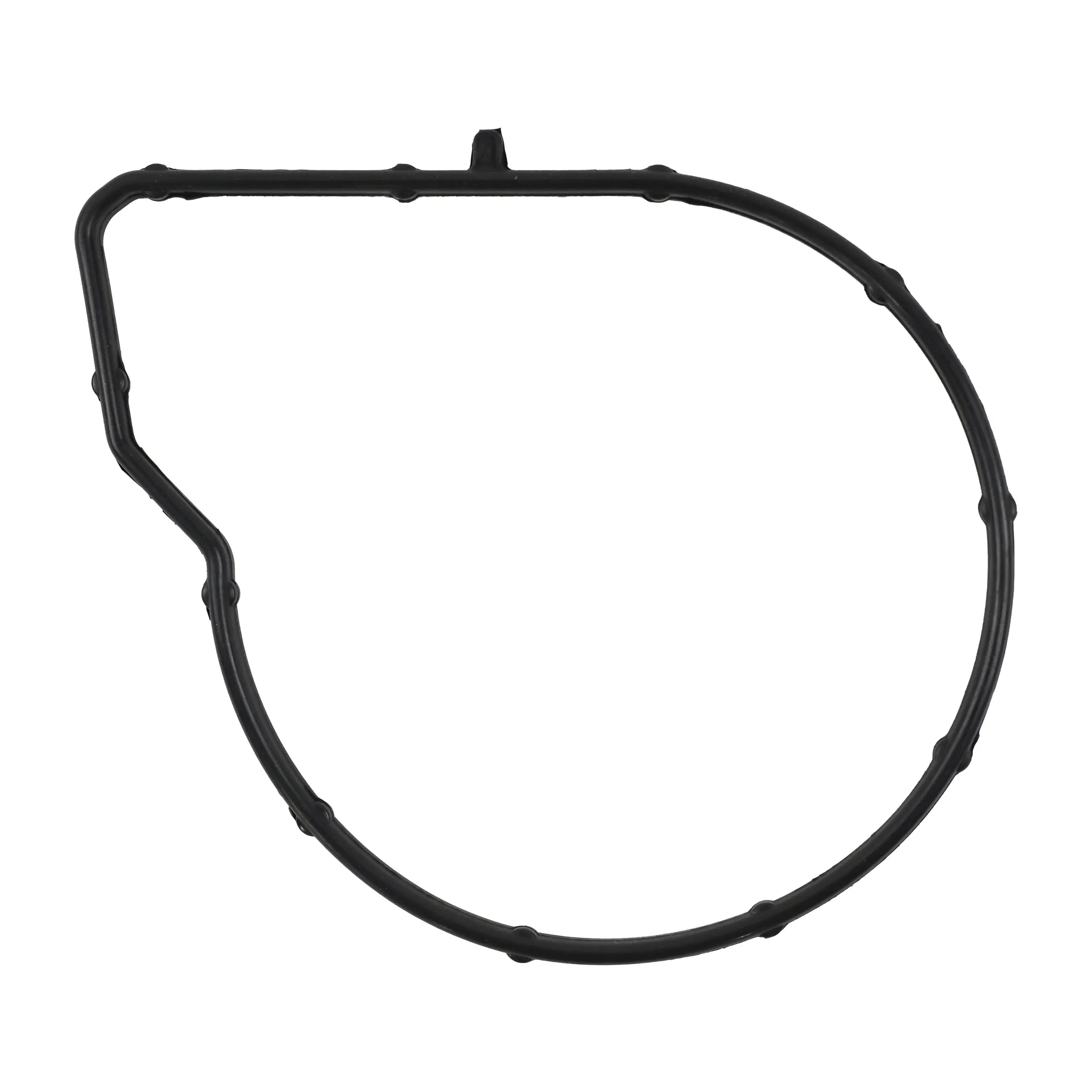 Water Pump Gasket - image principale du produit