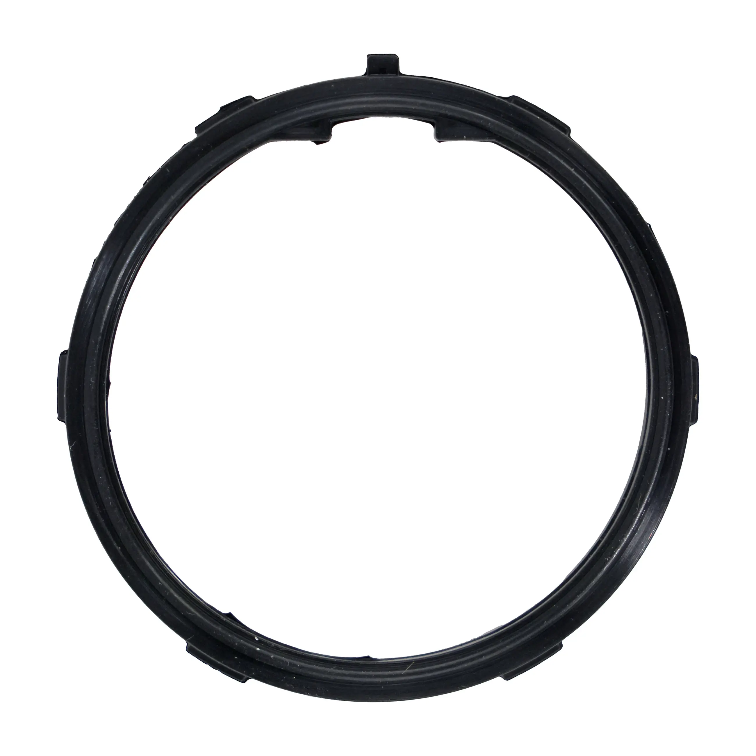 Colnt Thmstat Seal - main product image