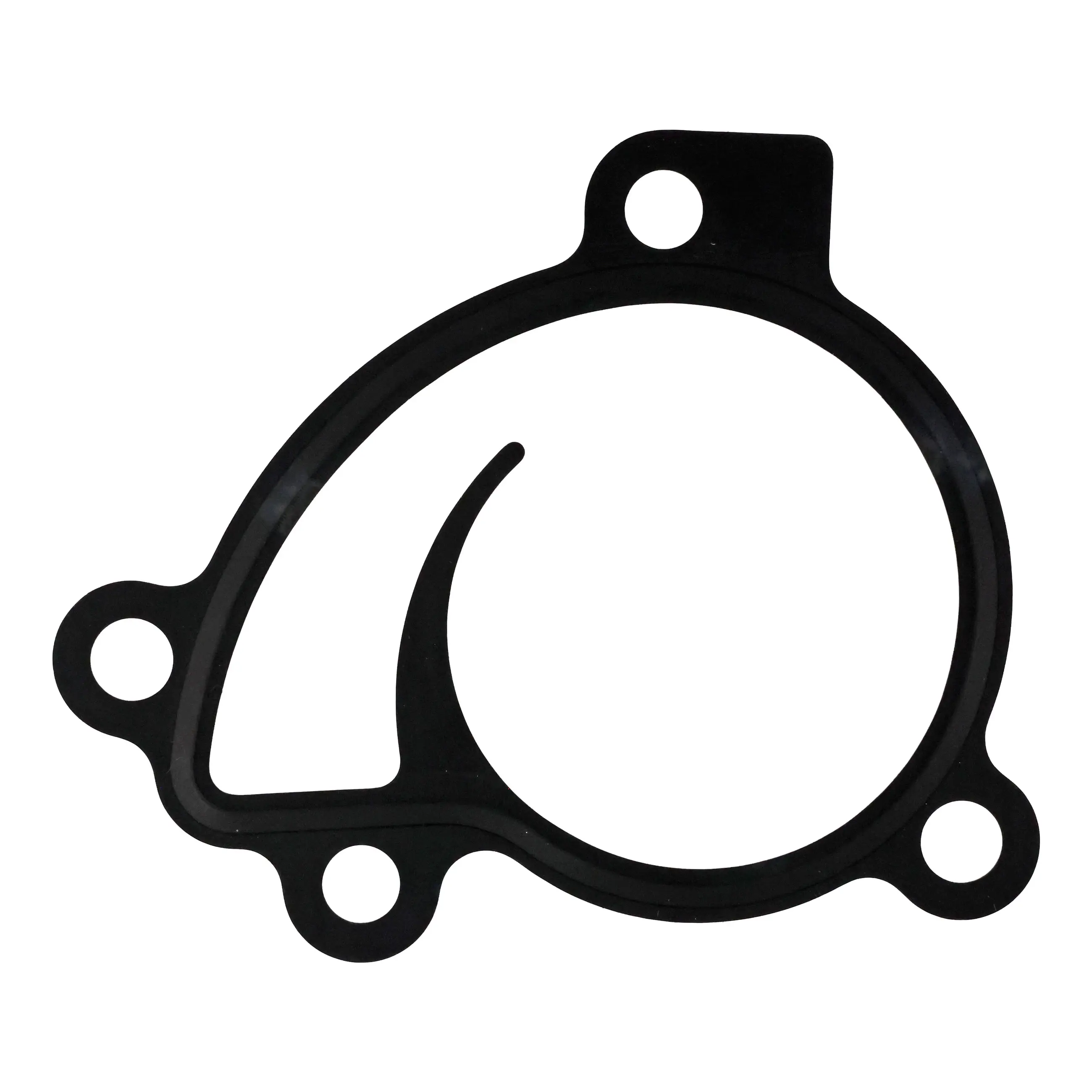 Water Pump Gasket