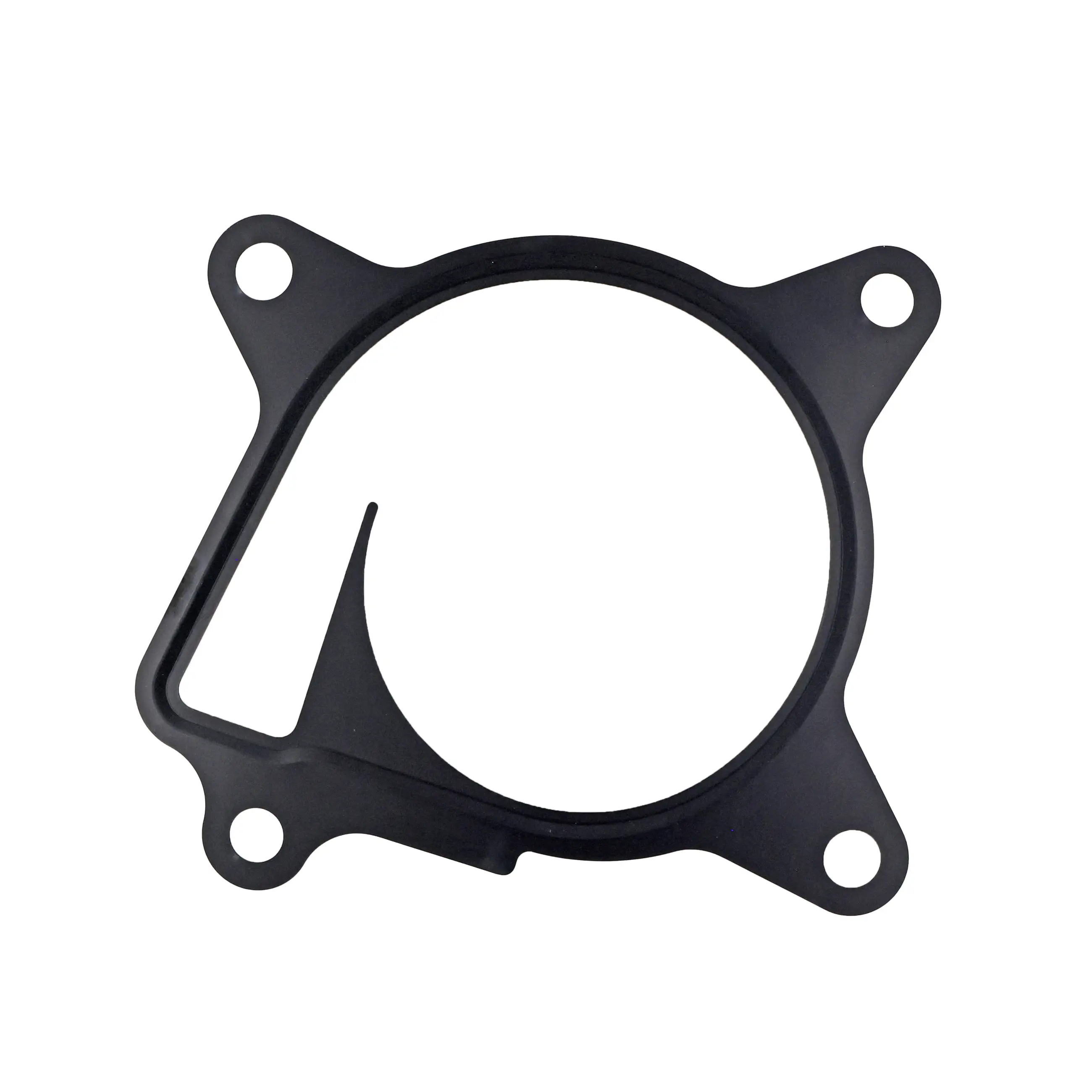 Water Pump Gasket - image principale du produit