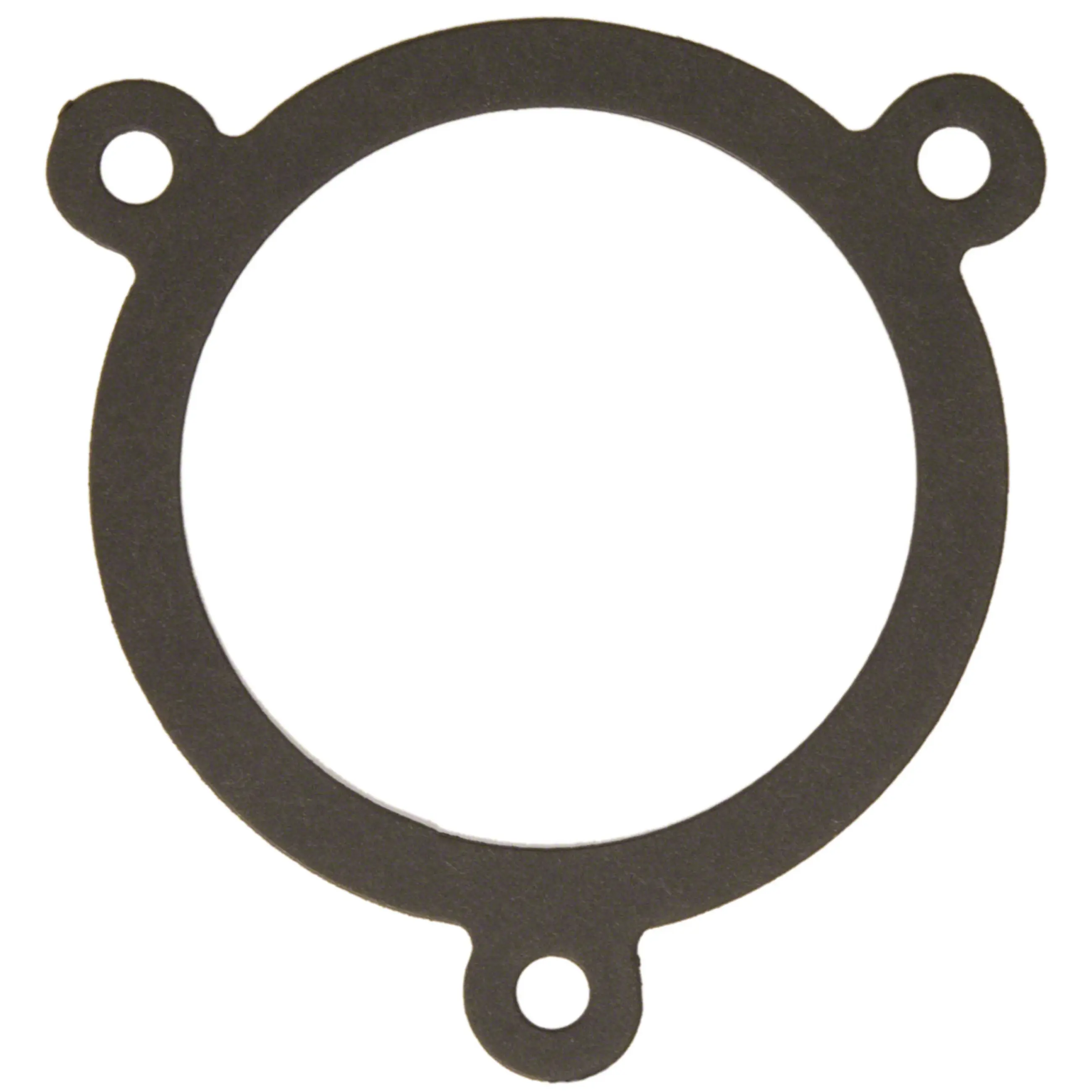 Throttle Body Gasket - image principale du produit