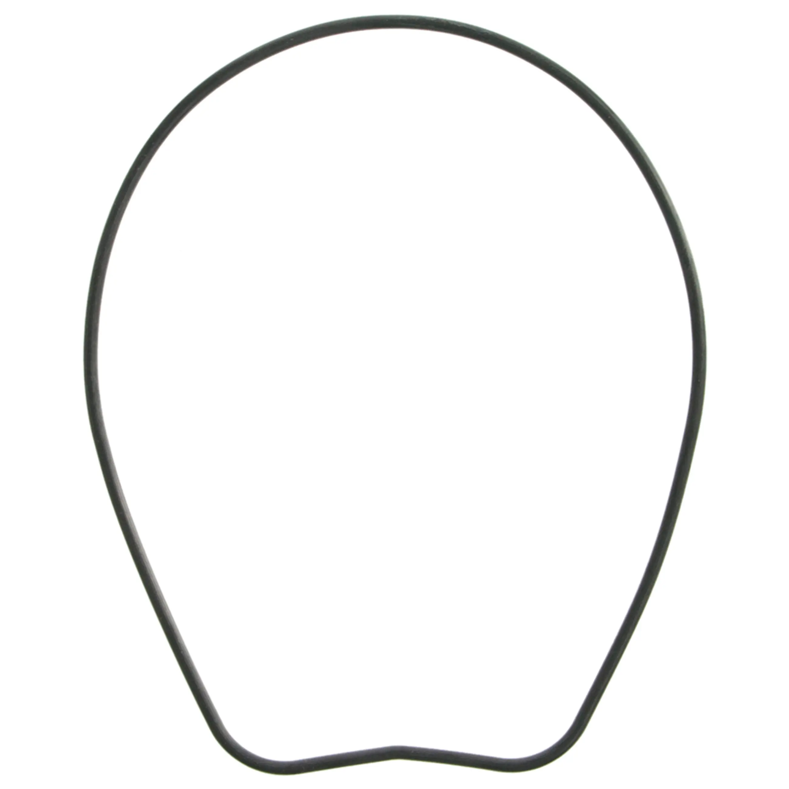 Oil Pump Gasket - image principale du produit