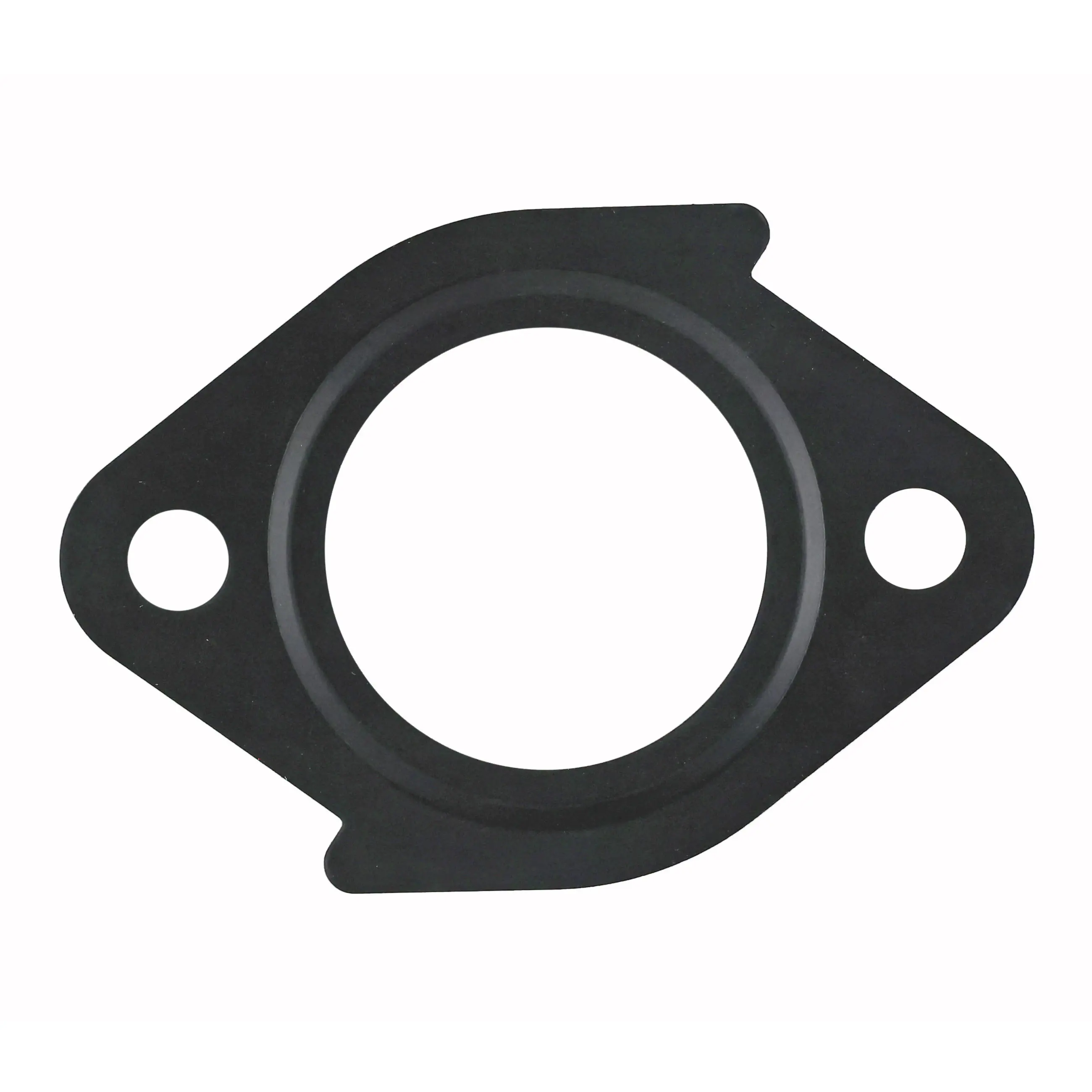 EGR Mounting Set - image principale du produit