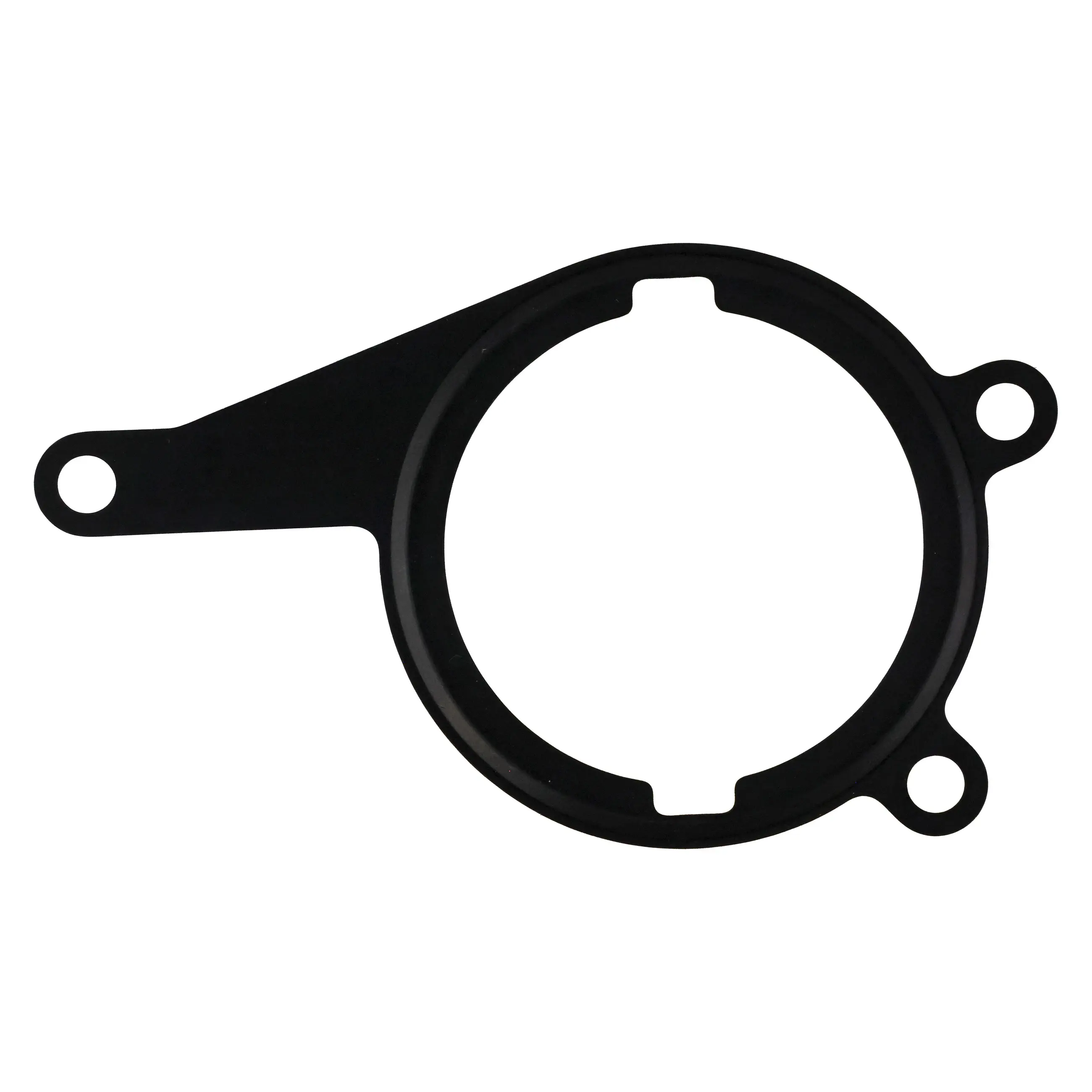 Pump Gasket - image principale du produit