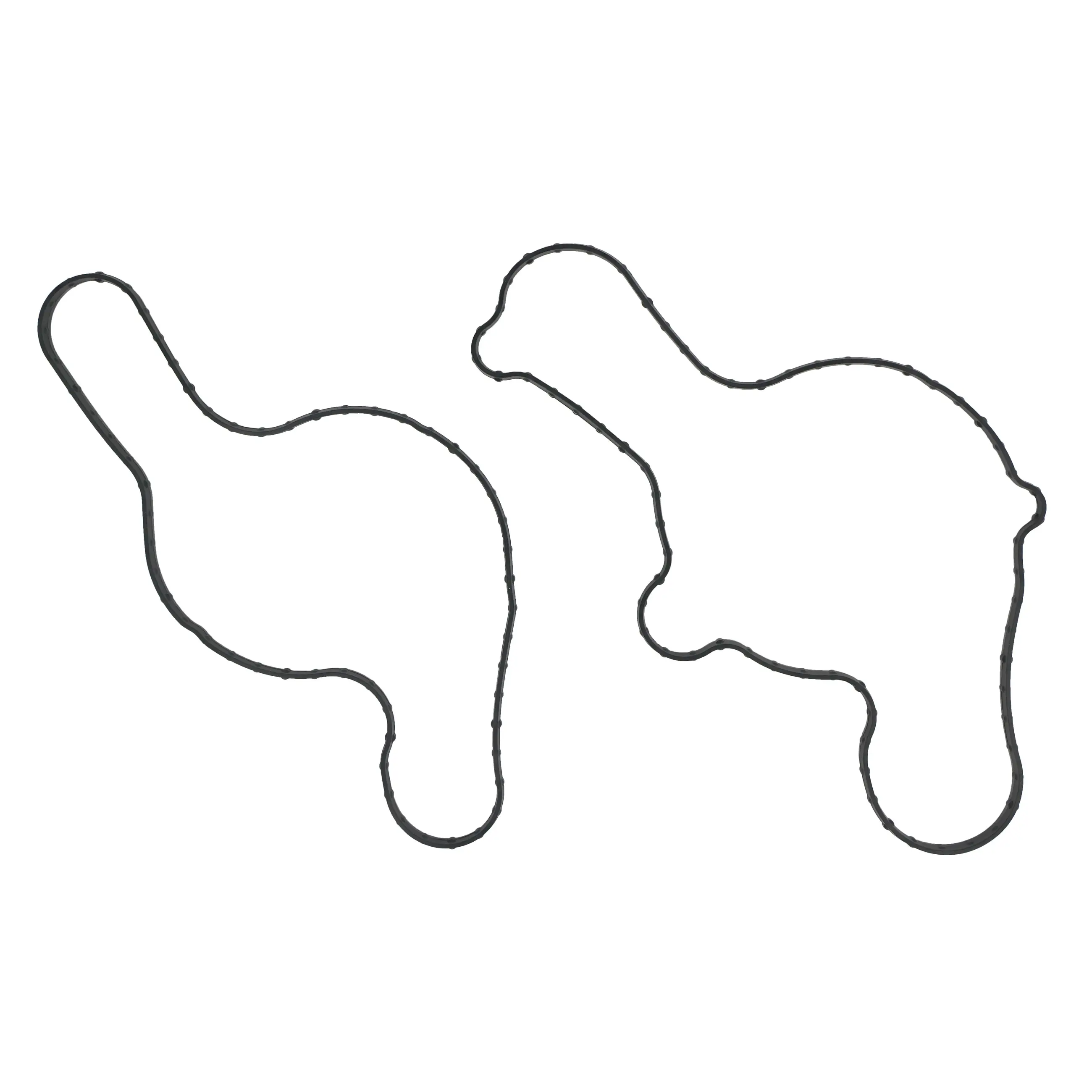 Water Pump Gsket Kit - image principale du produit