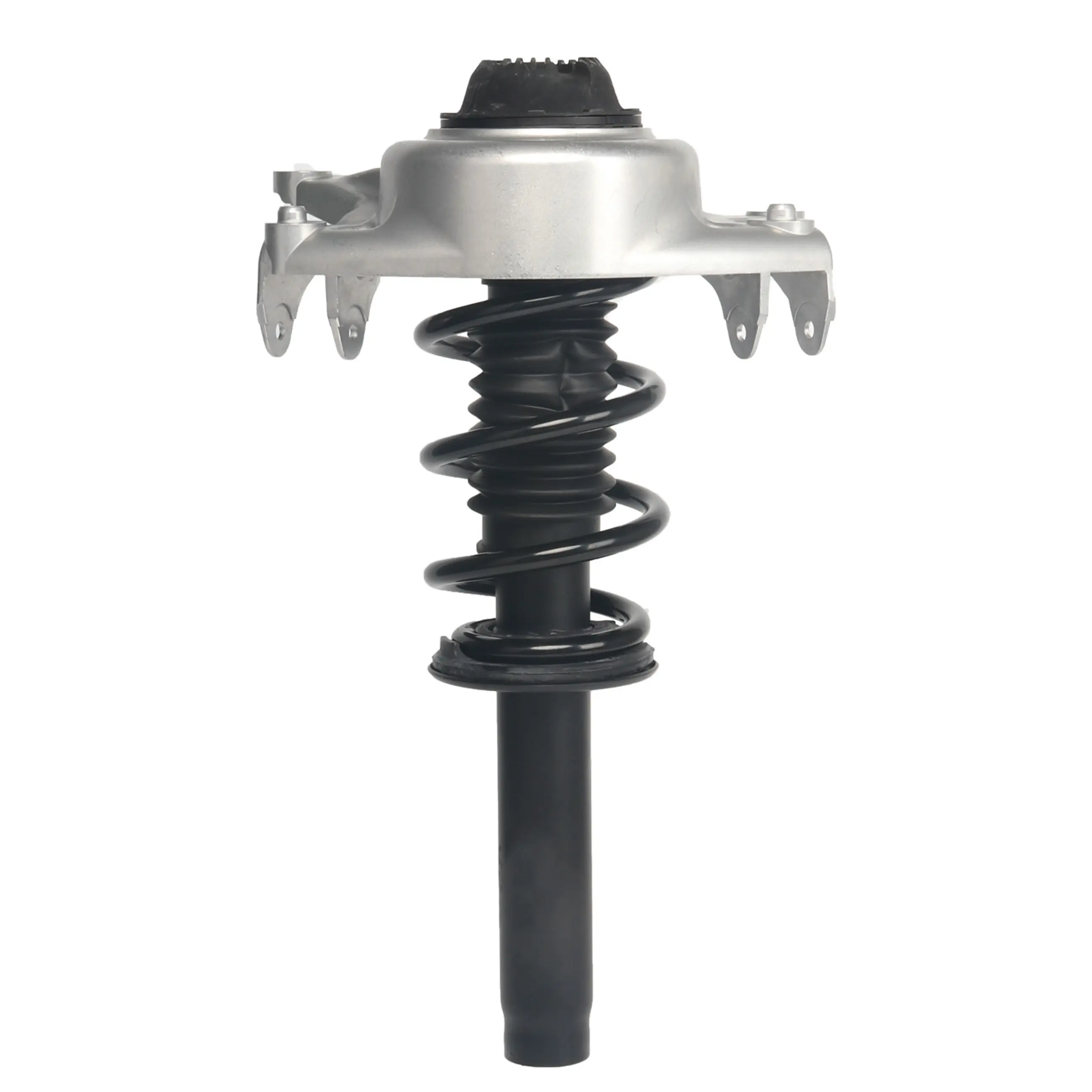 Strut Assembly - image principale du produit