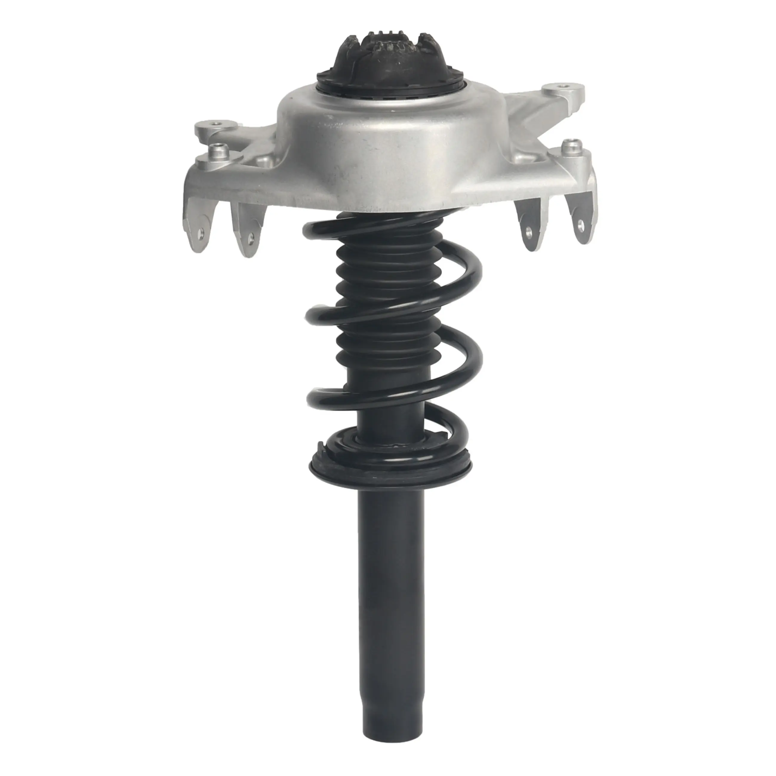 Strut Assembly - image principale du produit