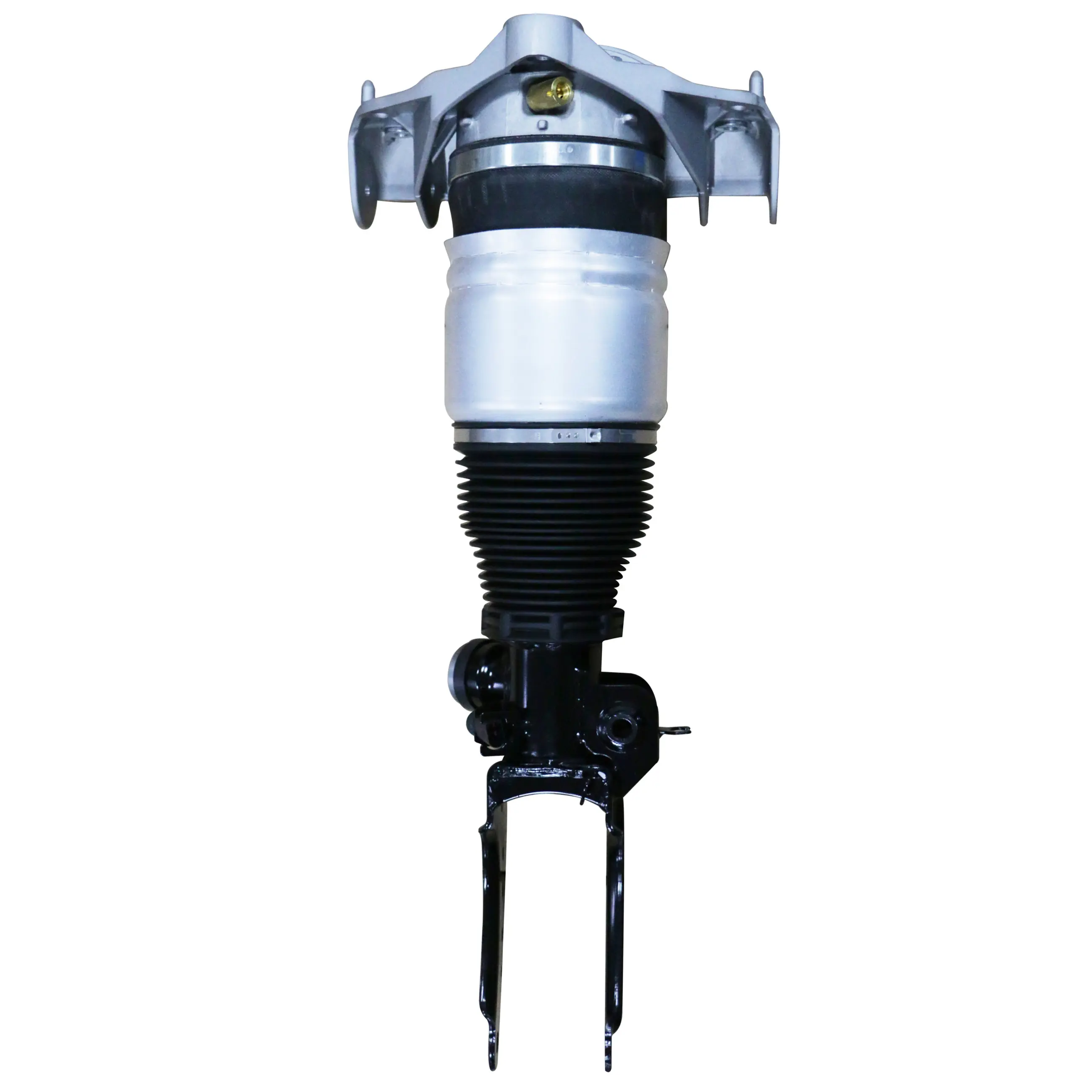Air Suspension Strut - image principale du produit
