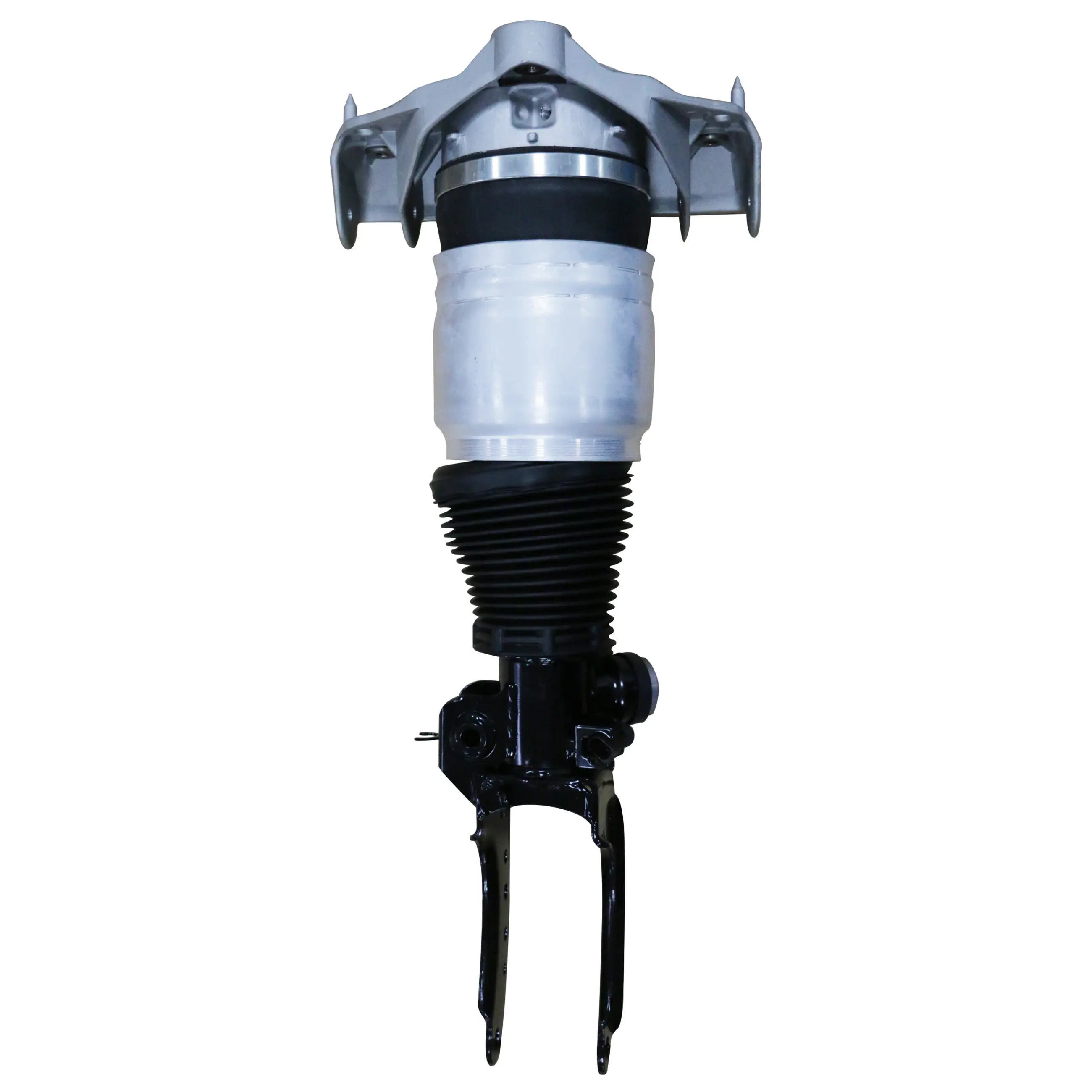 Air Suspension Strut - image principale du produit