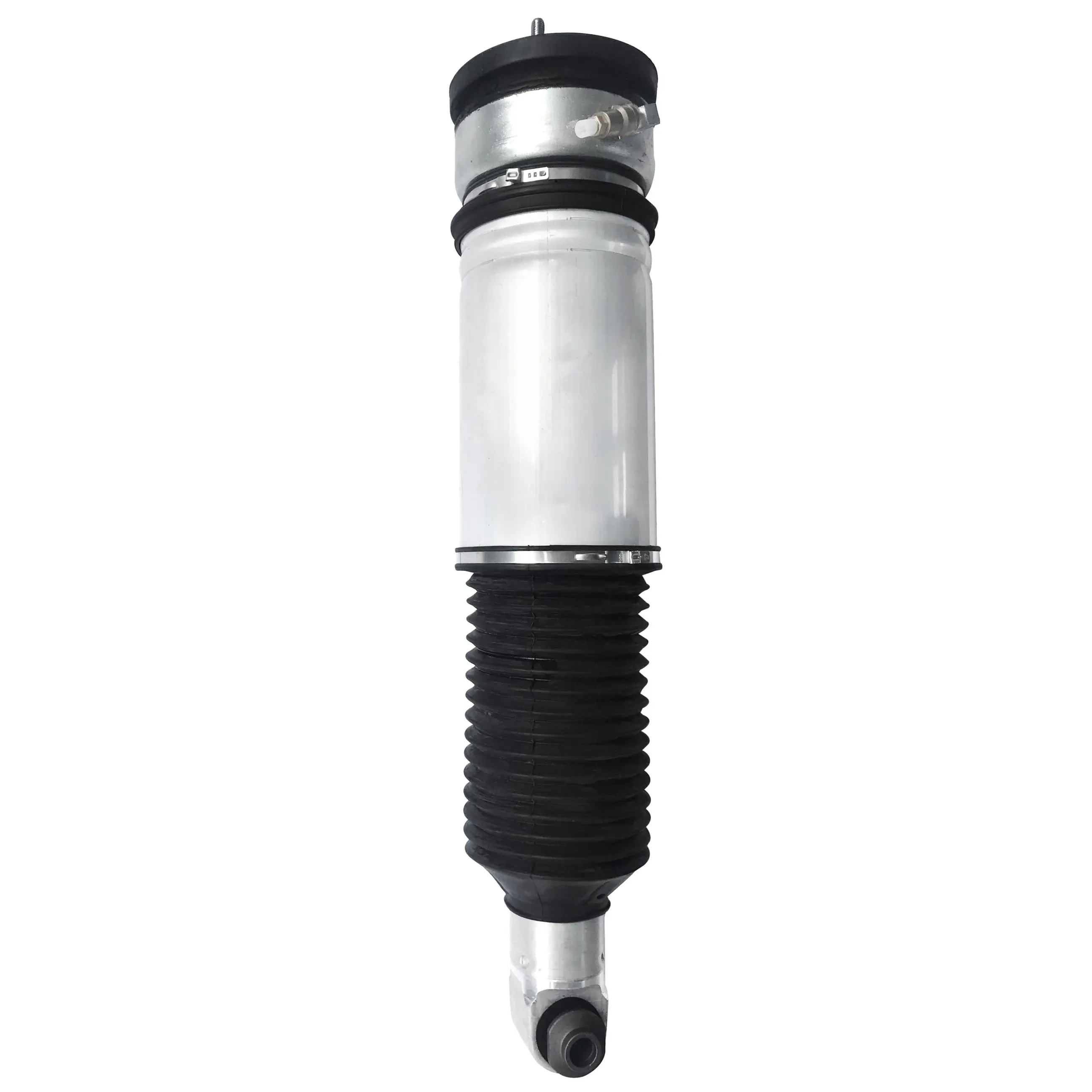 Air Suspension Strut - image principale du produit