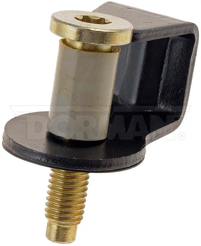 DOOR STRIKER BOLT - image principale du produit