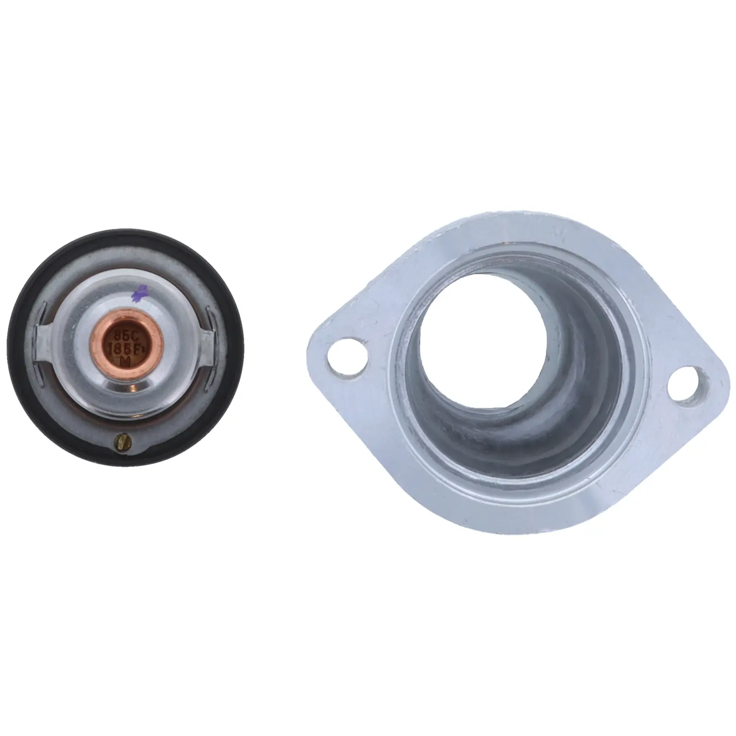 Thermostat Kit