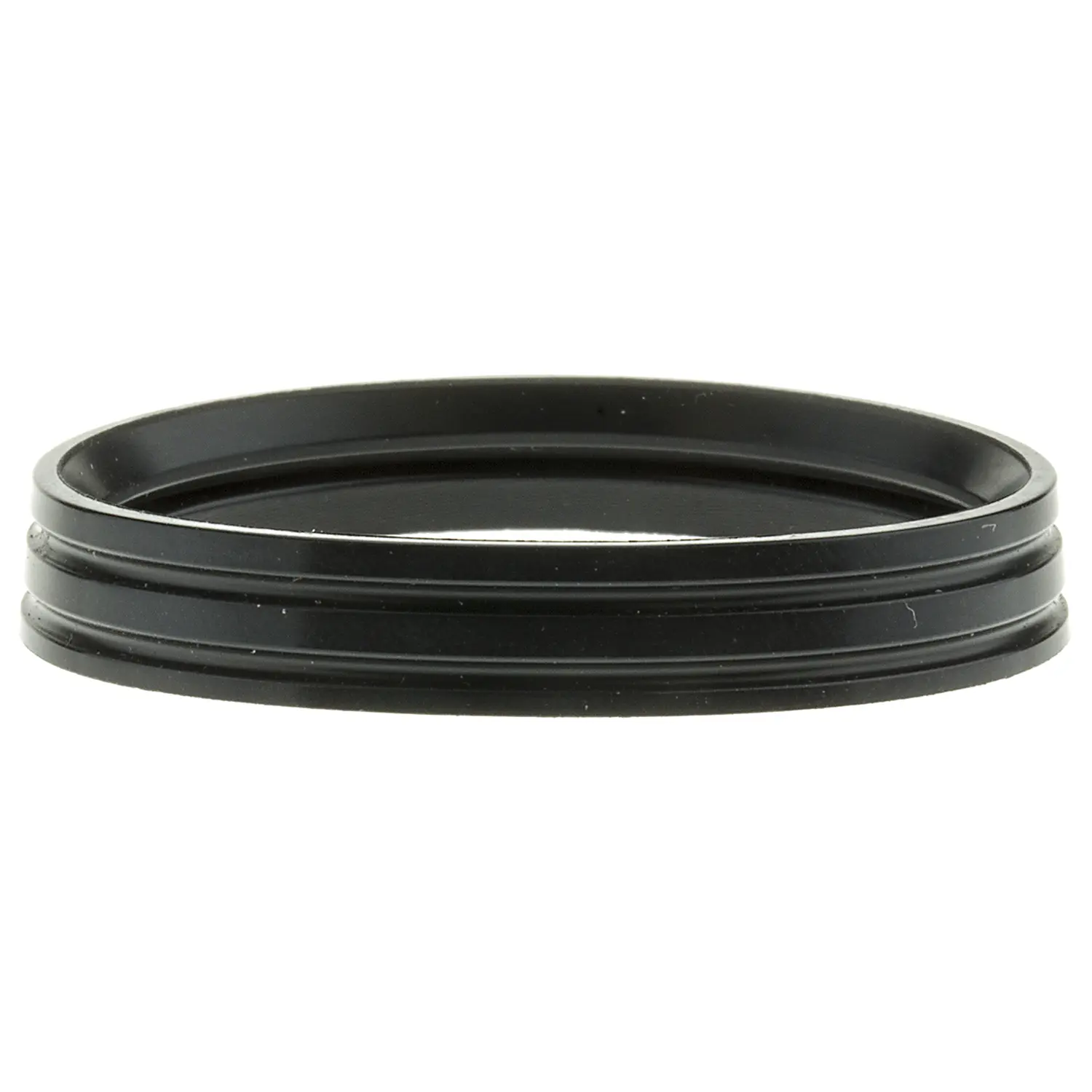 Thermostat Seal