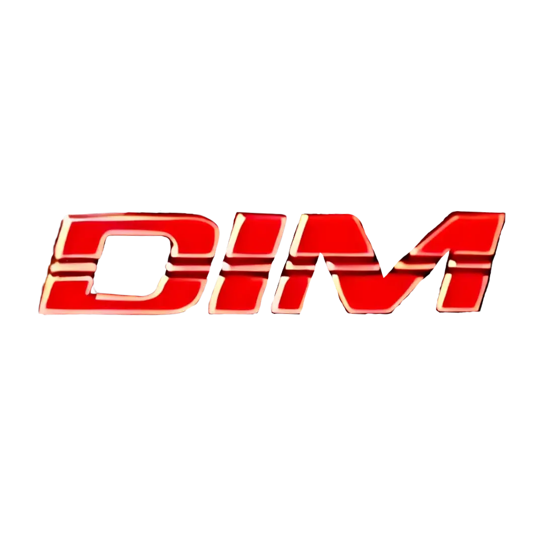 DIM Wheels logo on aftermarket alloy rim