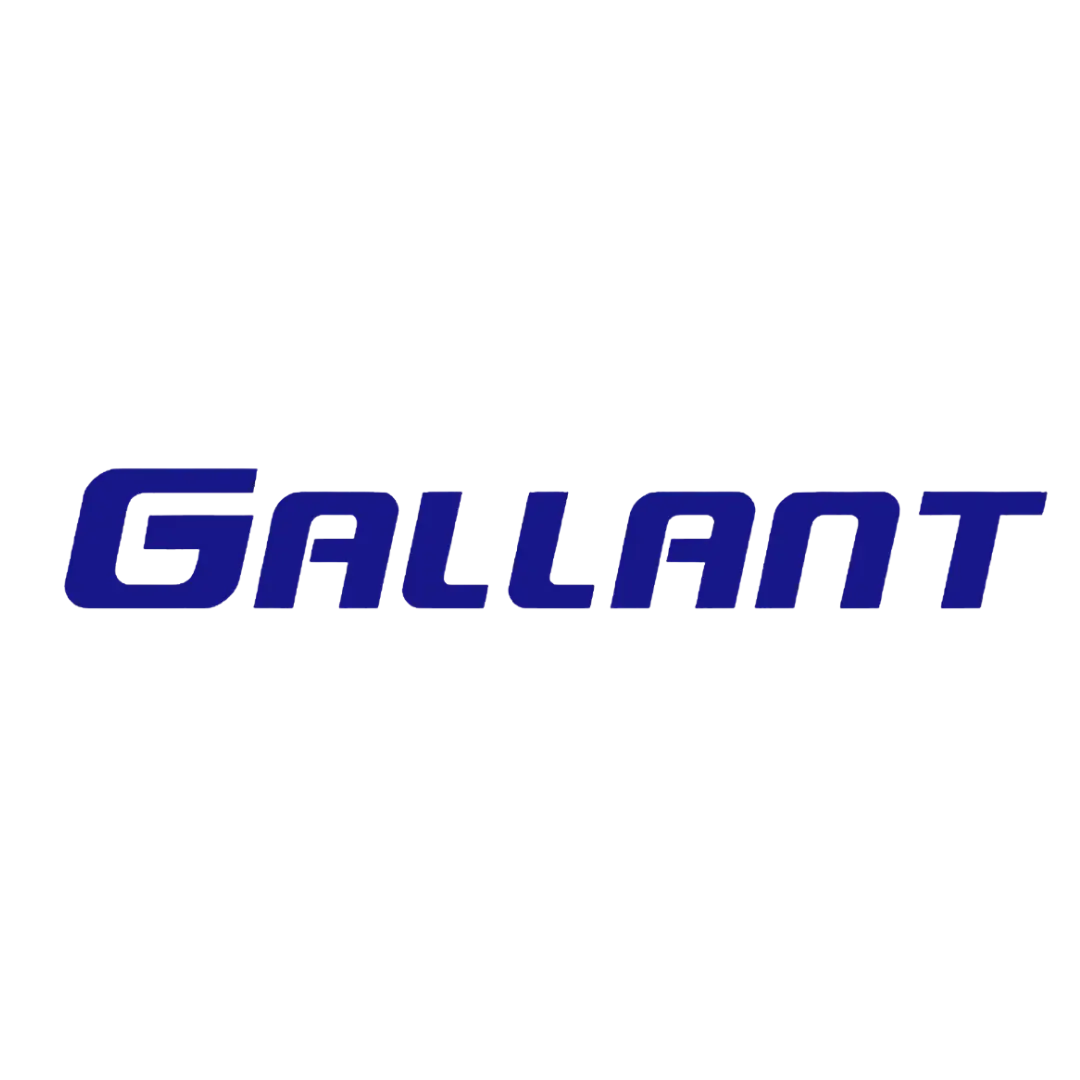 Gallant Tire tires