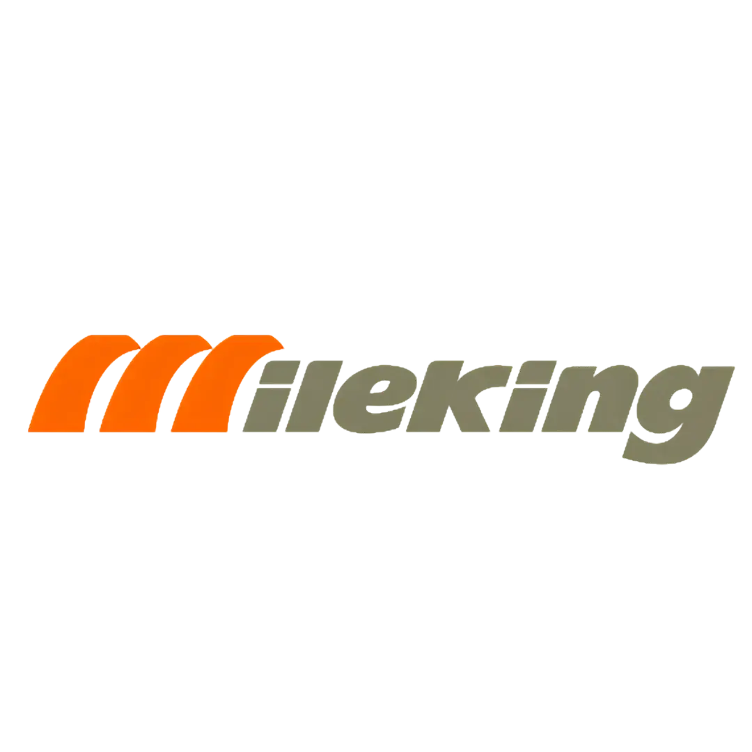 PR MileKing tires