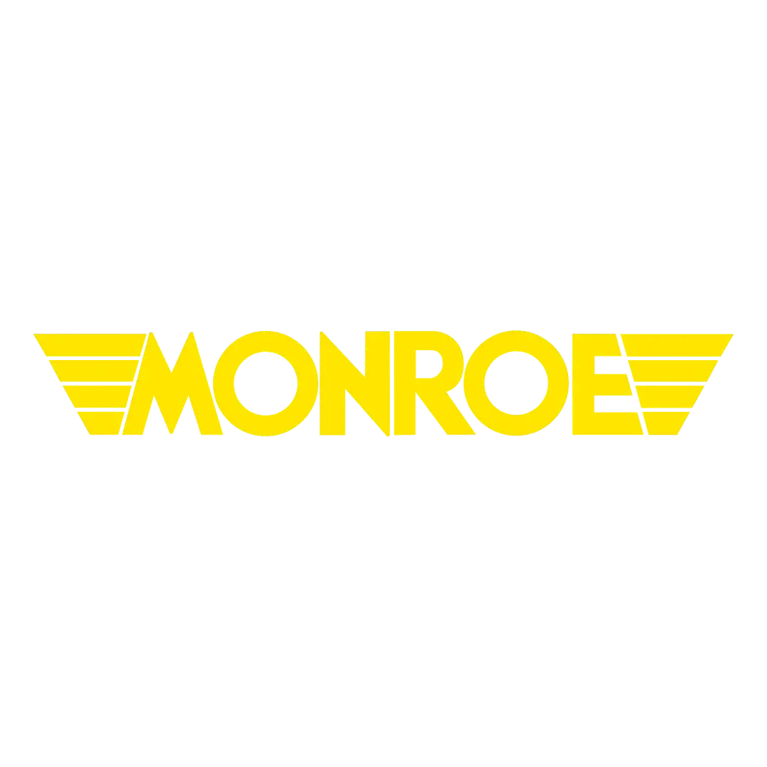 Monroe Shocks & Struts
