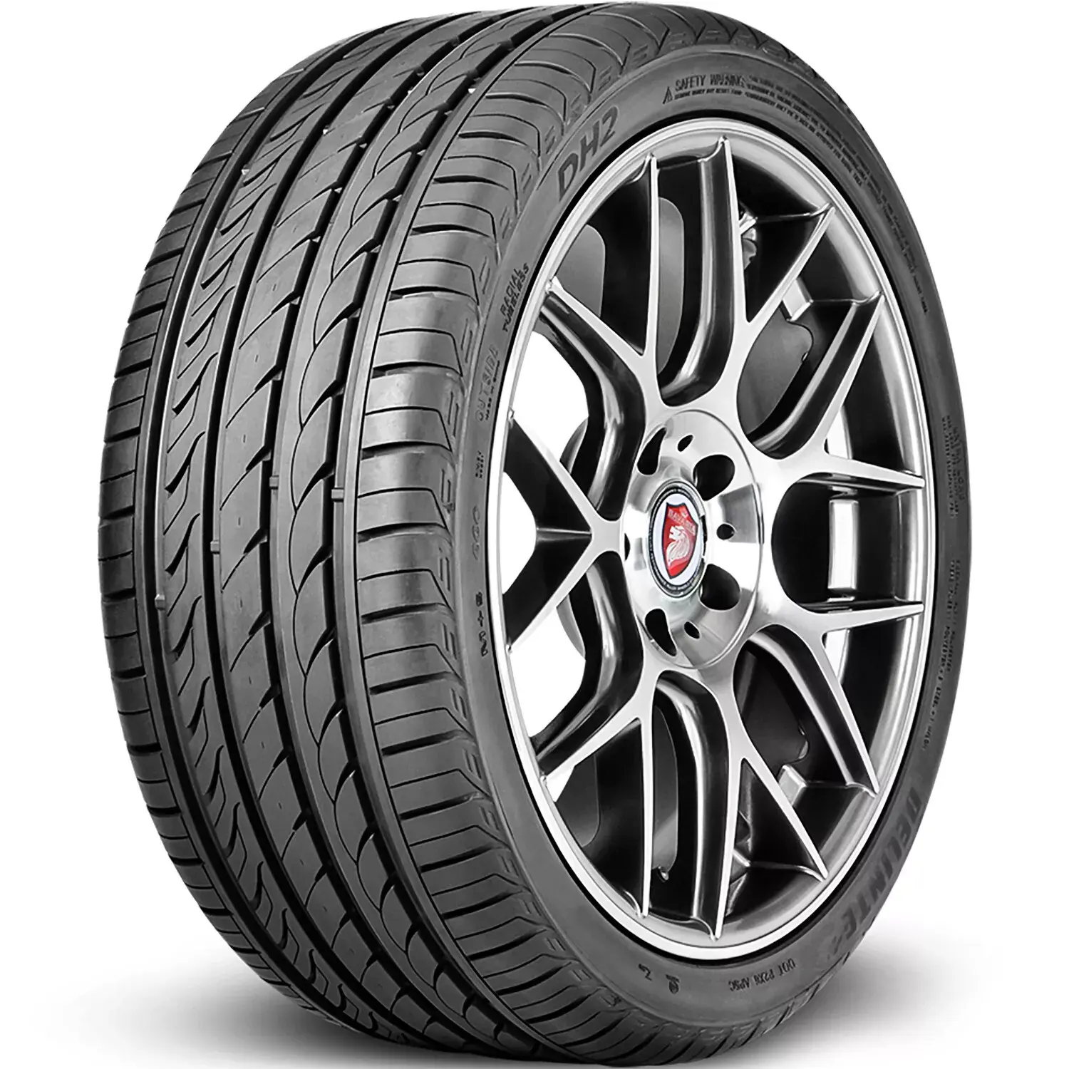 225/65R16 Delinte DH2 100H