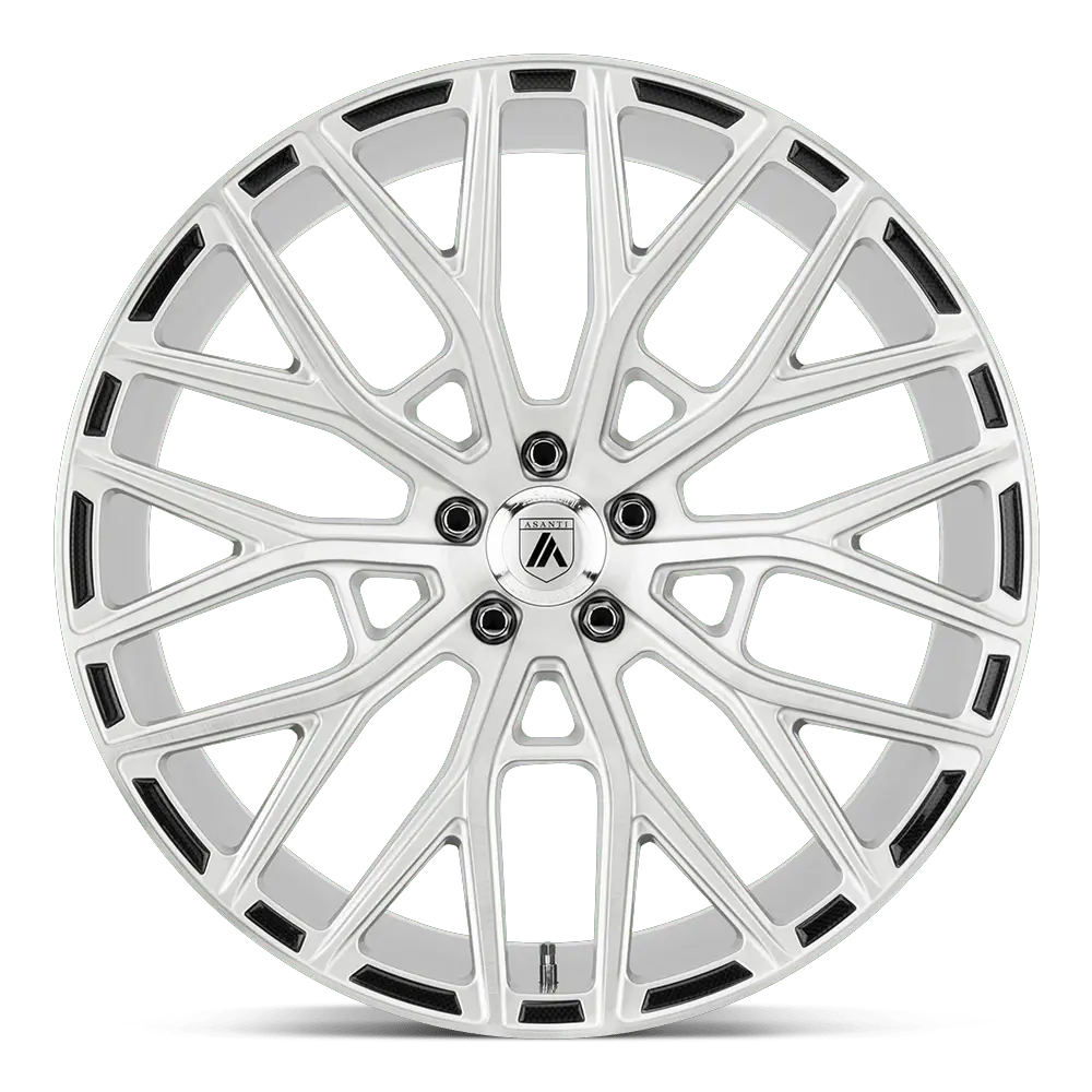 Asanti ABL-21 Leo 22X10.5 BLANK  25mm Brushed Silver miniature 2