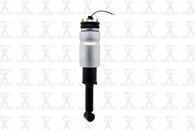 Air Strut Assy