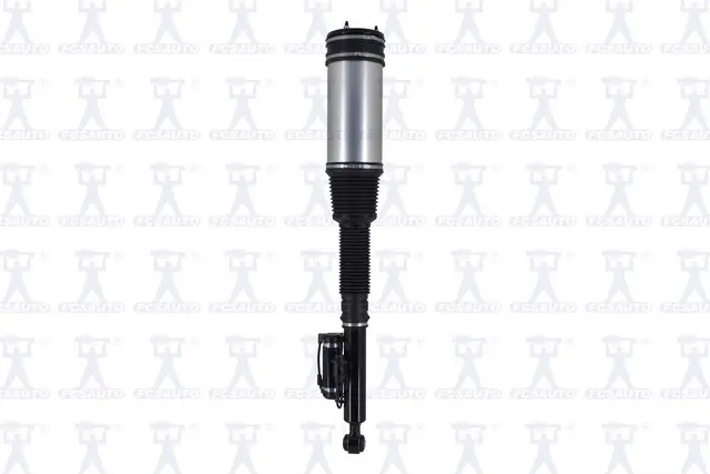 Air Strut Assy