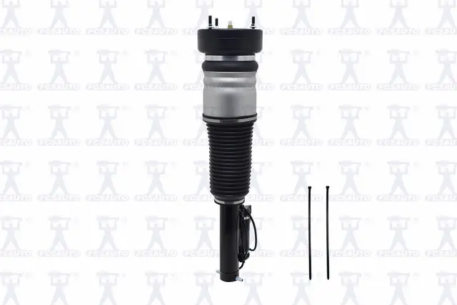 Air Strut Assy