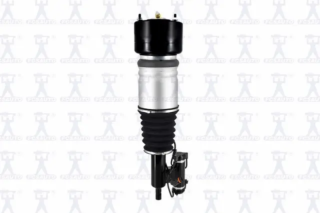 Air Strut Assy