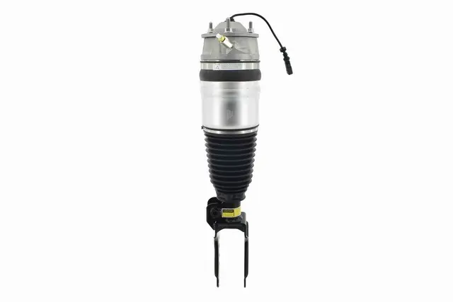 Air Strut Assy