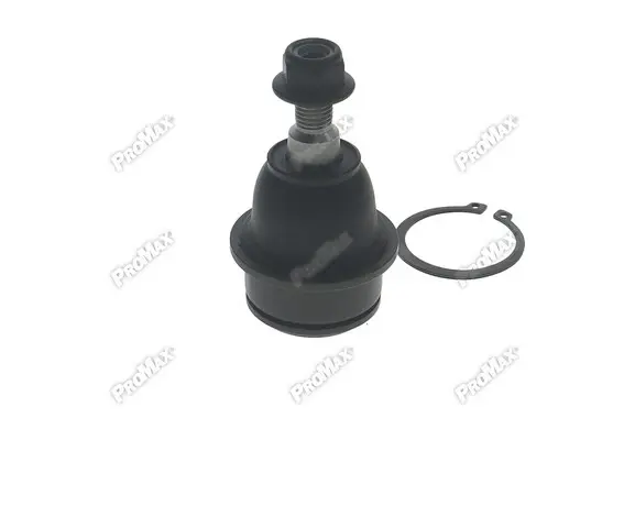 Promax miniature 4
