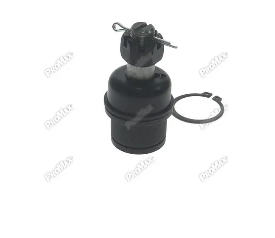 Promax miniature 4