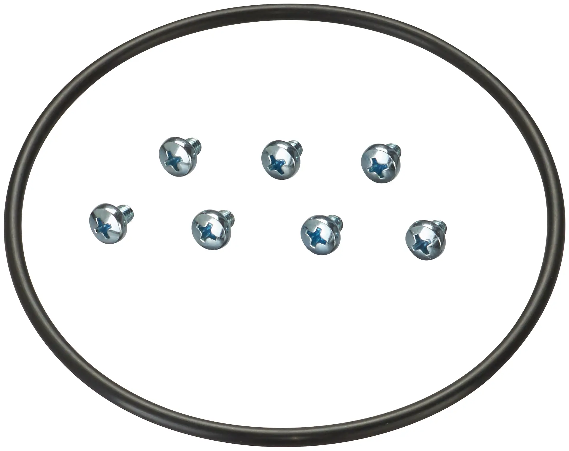 Fuel Pump Tank Seal - image principale du produit