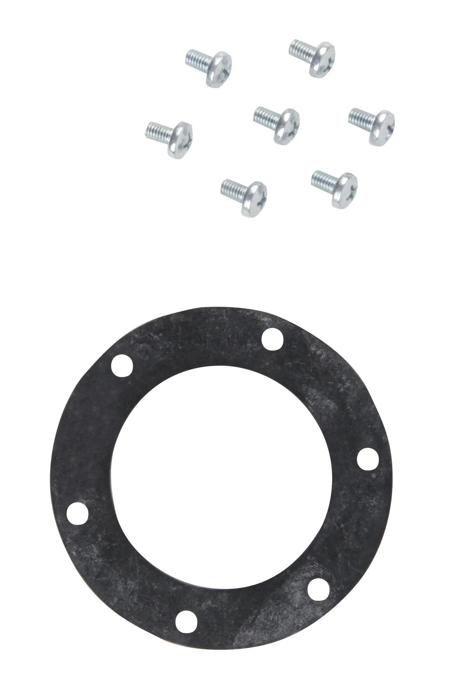 Fuel Pump Tank Seal - image principale du produit