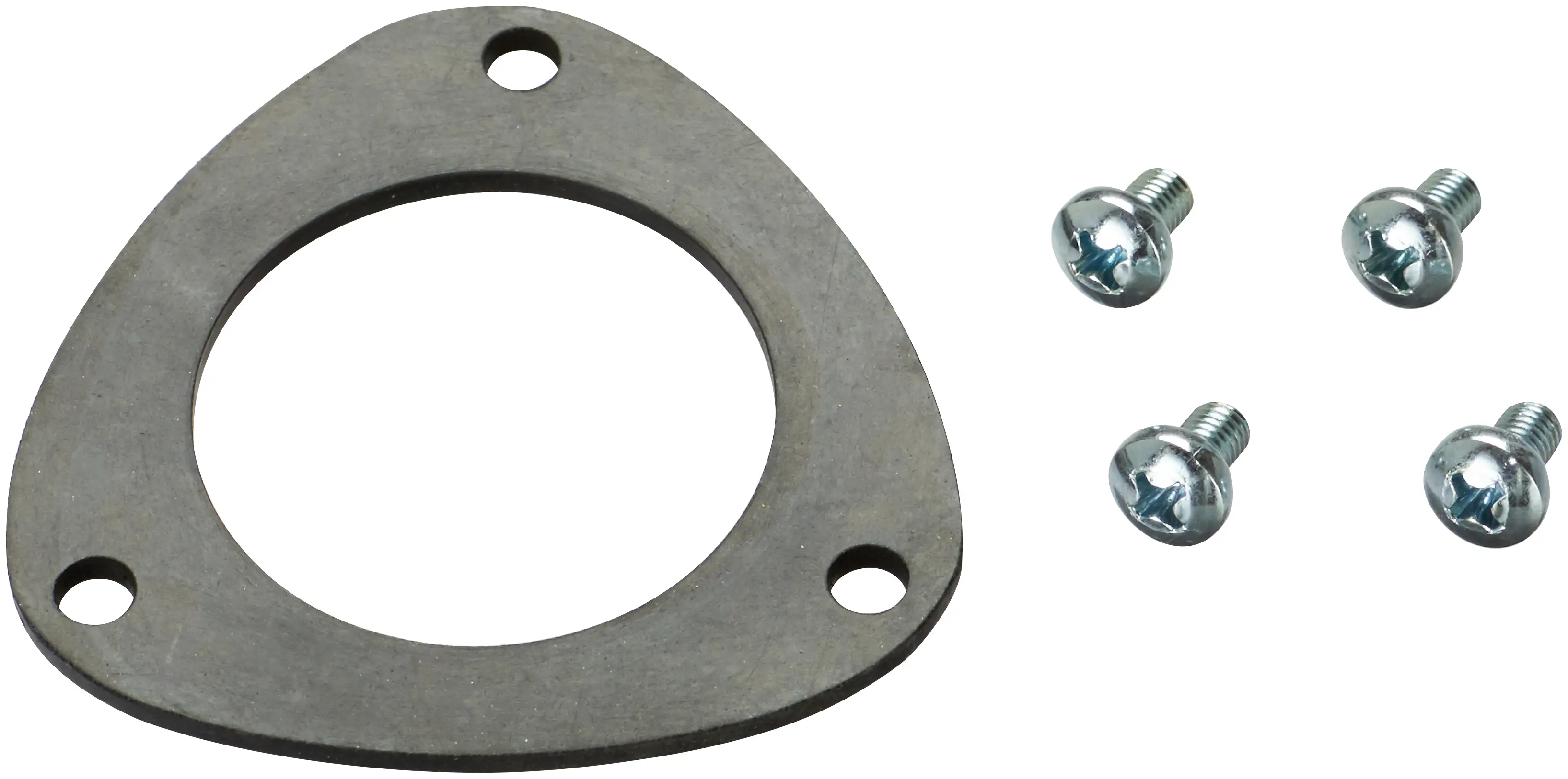 Fuel Pump Tank Seal - image principale du produit