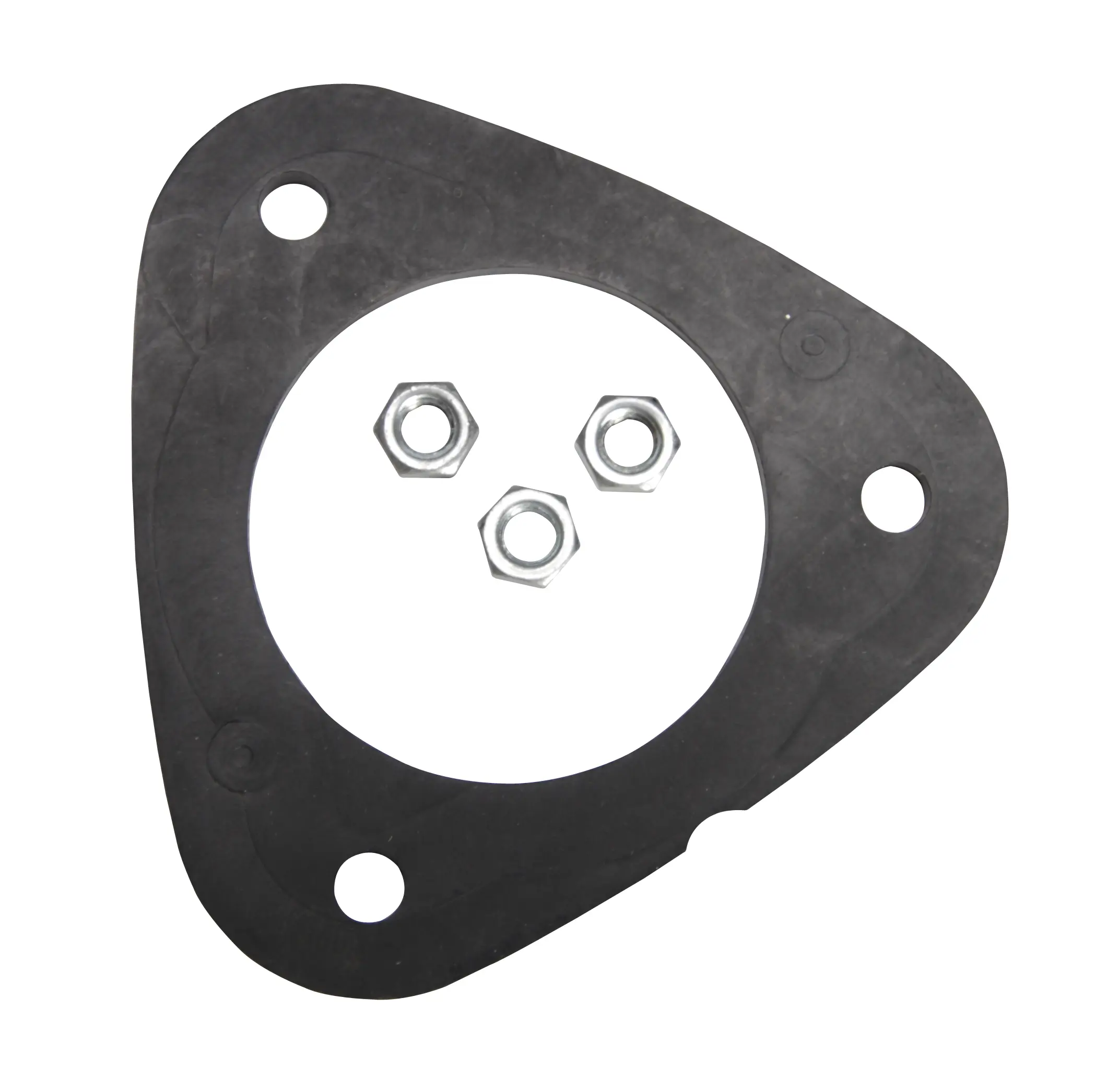 Fuel Pump Tank Seal - image principale du produit