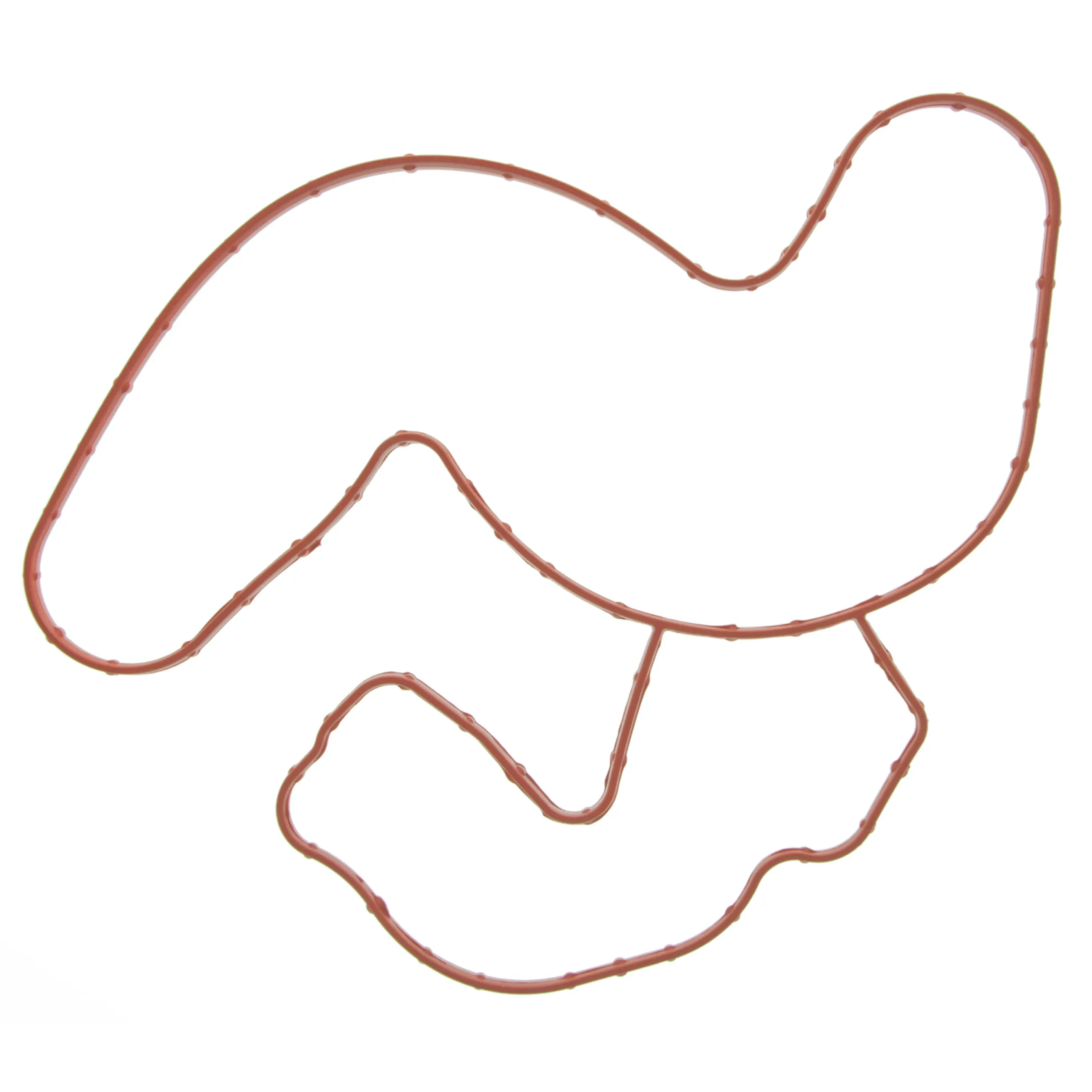 Water Pump Gasket - image principale du produit