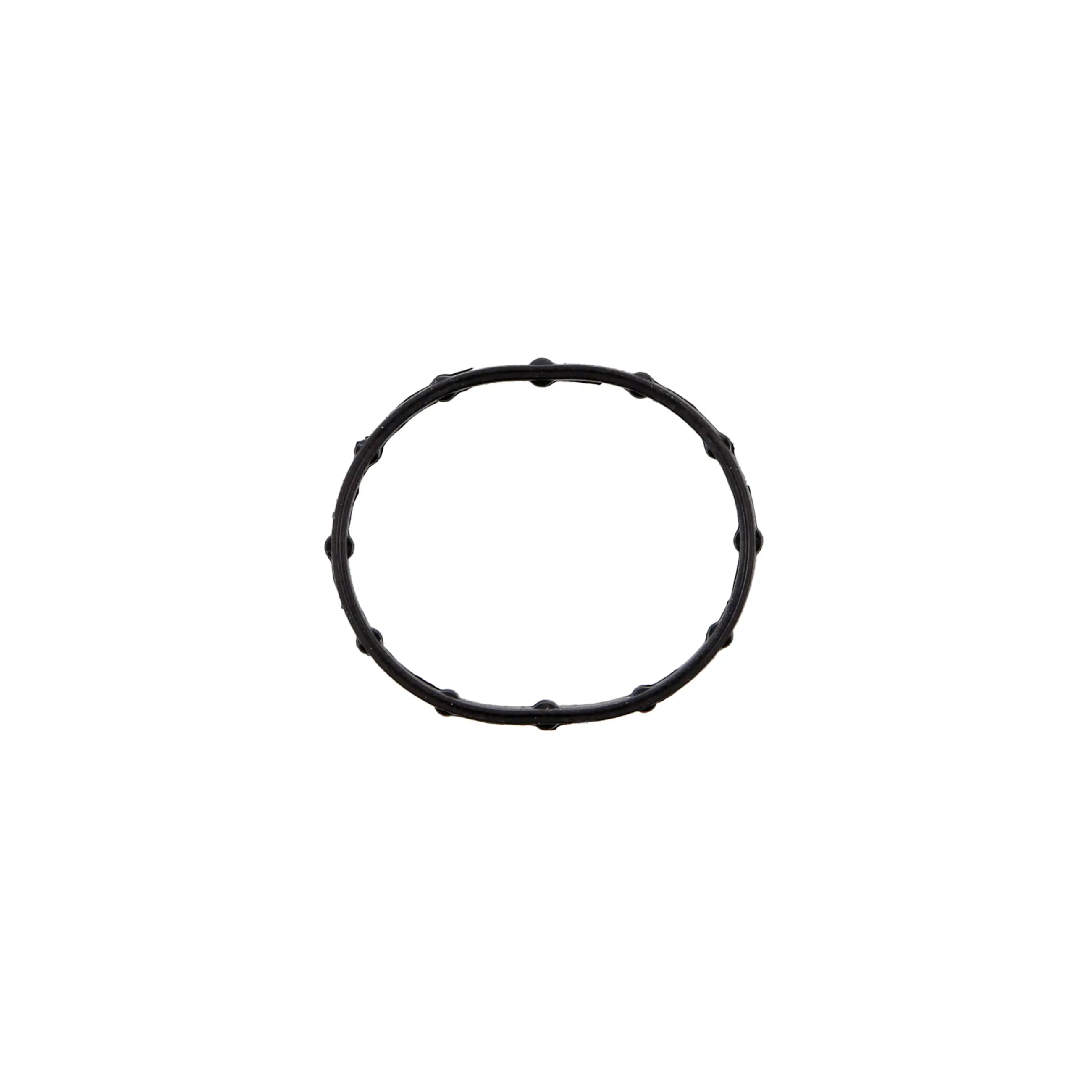 Water Pump Gasket - image principale du produit