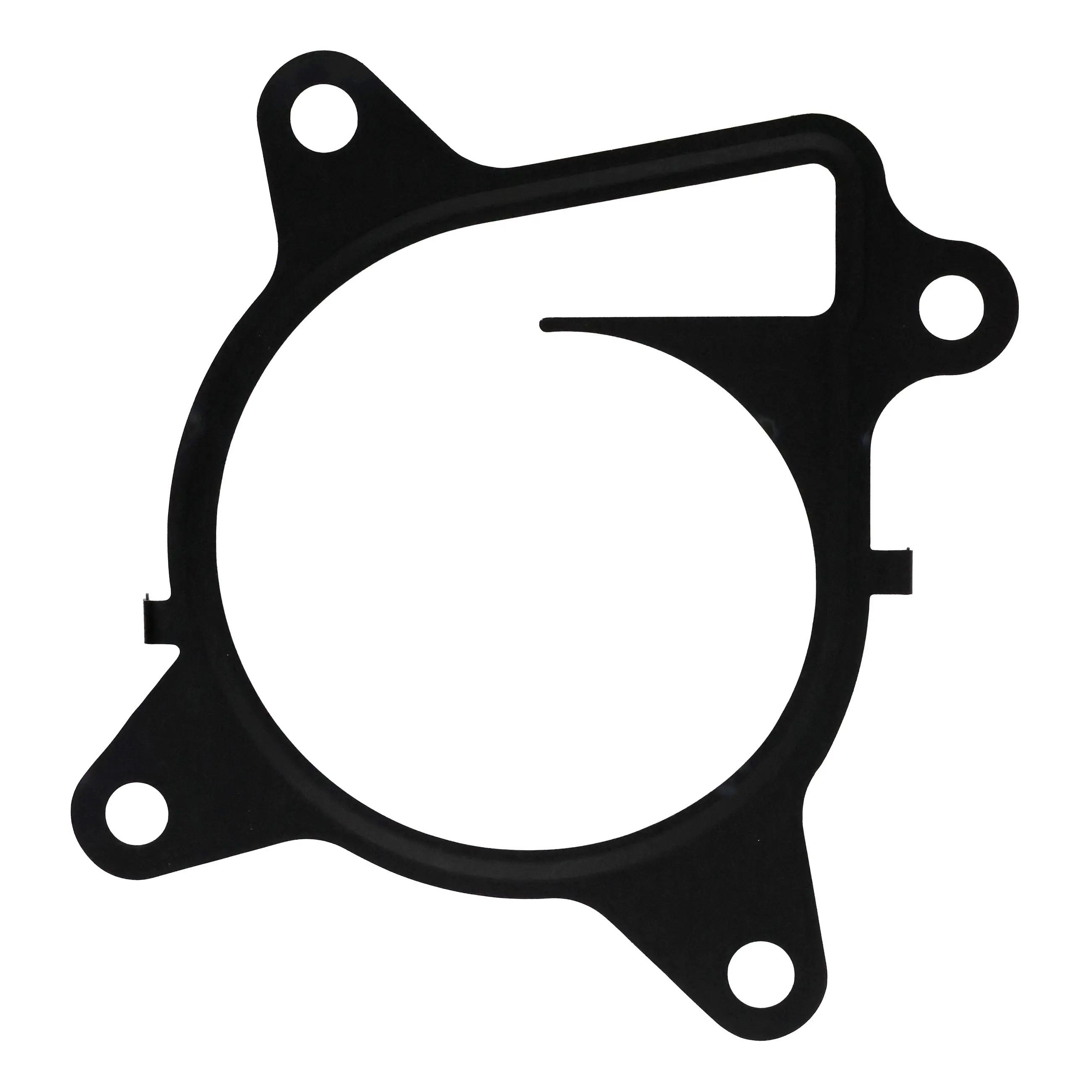 Water Pump Gasket - image principale du produit