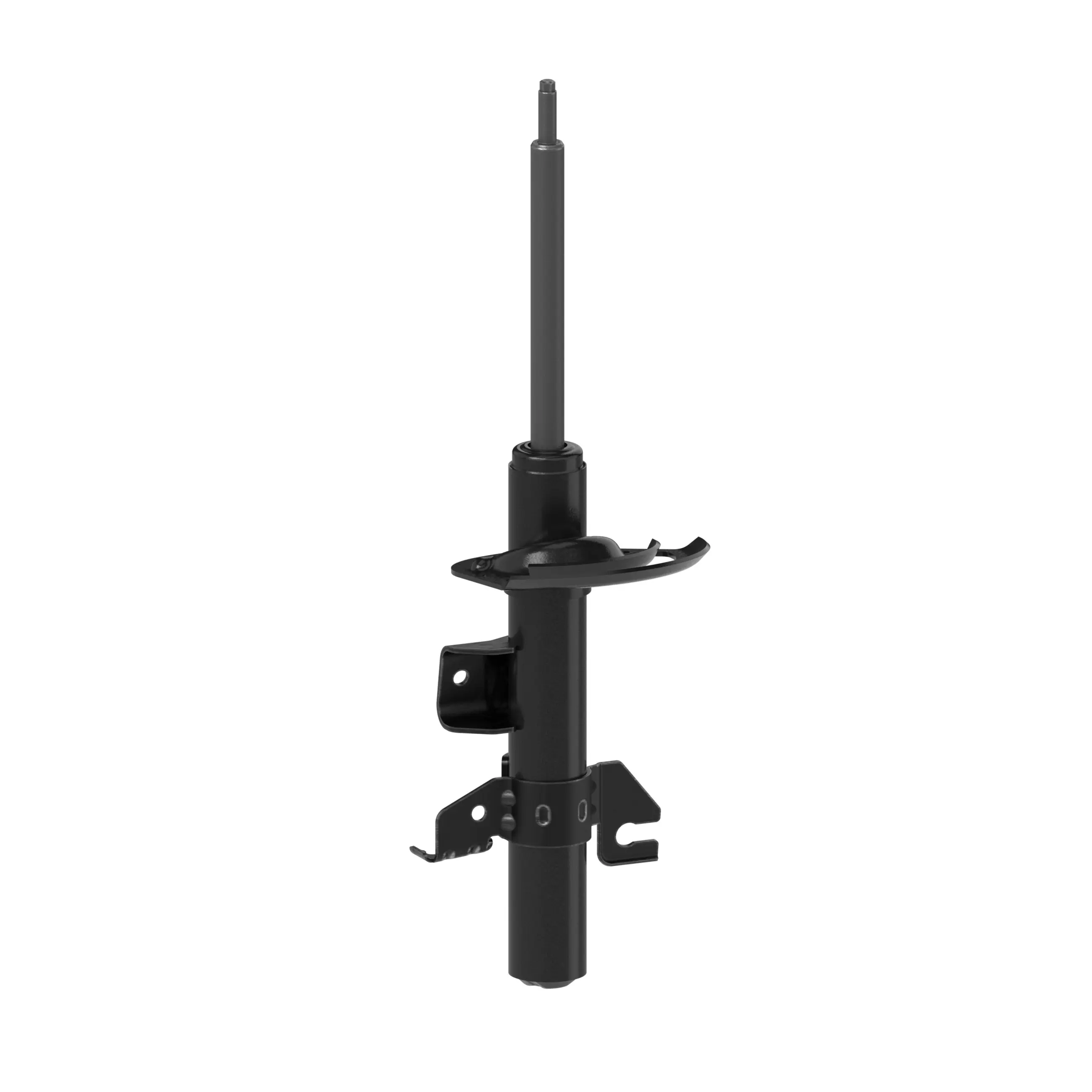 Strut - main product image